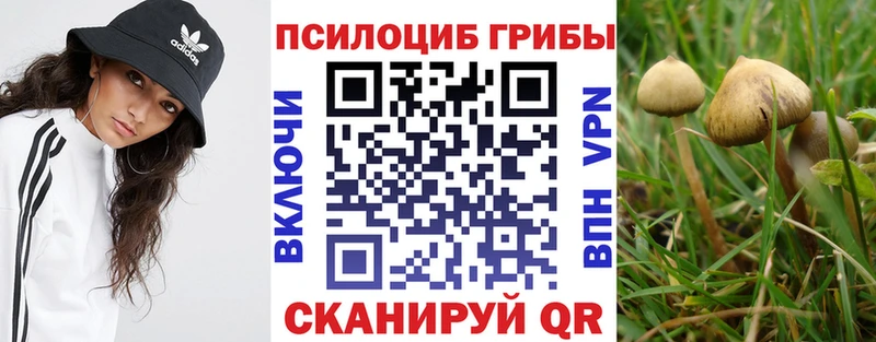 хочу наркоту Волжский Галлюциногенные грибы Psilocybine cubensis