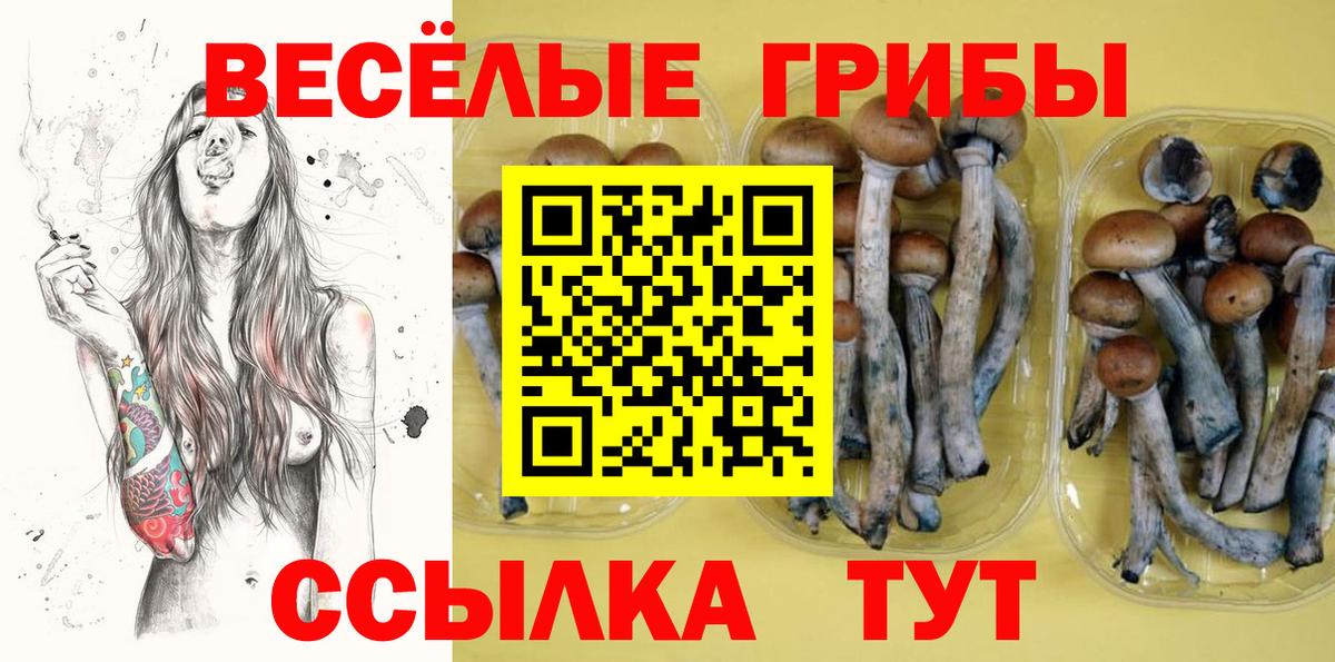 купить наркотик  Псилоцибиновые грибы GOLDEN TEACHER  Вход с VPN  Волжский 