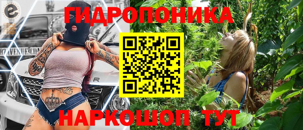 Каннабис сатива  Бошки марихуана THC 21%  Марихуана AK-47  Вход с VPN  Волжский  МАРИХУАНА VHQ 